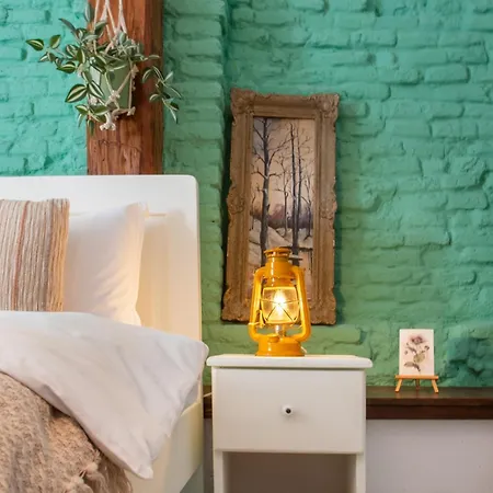 Apartment Bike House - 250-year-old Restored House In A Quiet Area Brasov