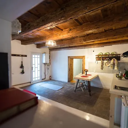Bike House - 250-year-old Restored House In A Quiet Area Apartment Brasov