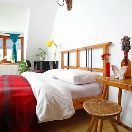 Bike House - 250-year-old Restored House In A Quiet Area * Brasov